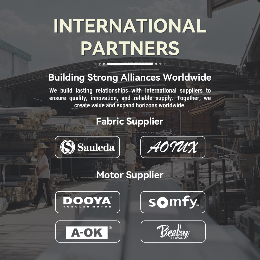 Partners